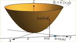 Directional Derivatives and the Gradient