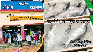 ক্যানিং মাছের বাজার//Canning Fish Market 2024