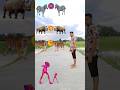 Animal's to dancing frog,, joker,, gorilla & red dame tu cosita - magic #trending #vfxkamlesh83