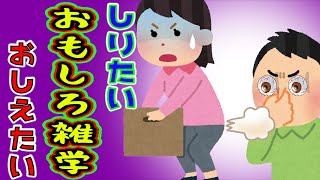 【豆知識】おもしろい雑学 お〇らは女性のほうが臭い！？ ねば～る君のしりたいおしえたい  【雑学】