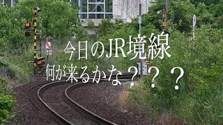 はたらくのりもの「今日のJR境線！何が来るかな？？？」