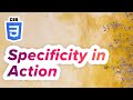 Step by Step: CSS Specificity in Action