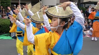 流し踊り「翔鳳連」 第33回南越谷阿波踊り（2017.8.20）