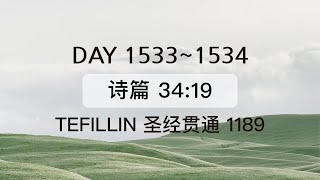 Tefillin [Day 1533-1534]  诗篇 34:19 宣布圣经 50次