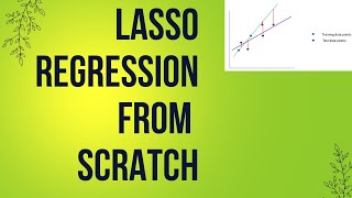 Lasso Regression from Scratch with Python