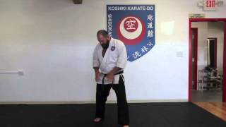 Fighting Stance--Jason Flentye Sensei at Koshiki Karate