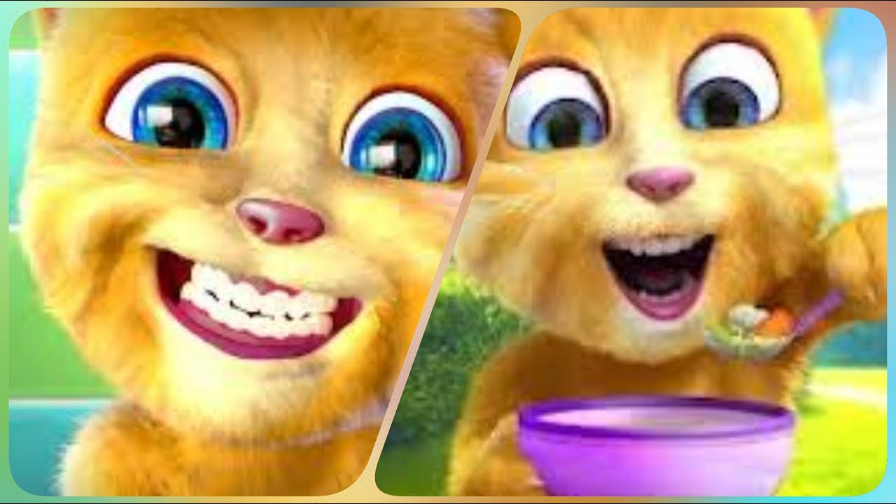 Talking Ginger Youtube