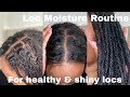 LOC MOISTURE ROUTINE FOR SHINY LOCS | step by step & fine hair friendly