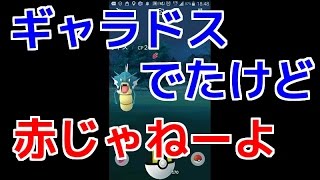 【ポケモンGO実況】　ギャラドスでたけど赤じゃねーよ！！