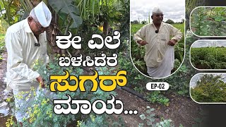 ಅನೇಕ ಬಗೆಯ ಆಯುರ್ವೇದದ ಗಿಡಗಳು ನಮ್ಮಲಿವೆ. | Ayurveda | JP Jagathu | EP-02