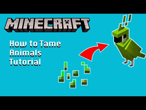 How To Tame Animals In Minecraft | Minecraft Beginner Tutorials - YouTube