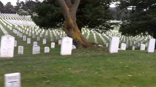 Gone with Honor