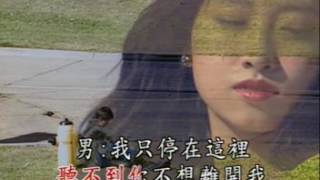 歌曲：停看聽