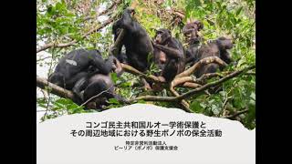 コンゴ民主共和国ルオー学術保護区とその周辺地域における野生ボノボの保全活動（特定非営利活動法人ビーリア(ボノボ)保護支援会、2020年度助成）：東京動物園協会野生生物保全基金 2021年度成果報告会