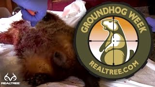 How to Skin a Groundhog