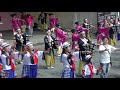 コスモス祭りtacyon　kabukiからの正調よさこい