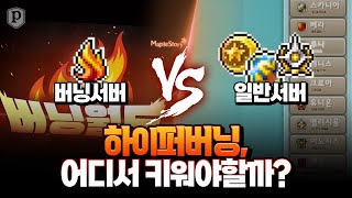 「버닝섭 VS 일반섭」 하이퍼버닝 어디서 키울까? [메이플스토리, 페이지]