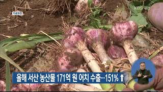 KBS뉴스 - 올해 서산 농산물 171억 원 어치 수출...151%↑(2019.12.27)