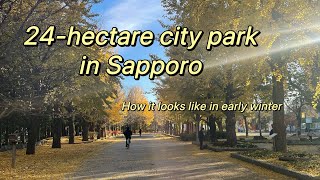 Nakajima Park 中島公園 in downtown Sapporo 札幌市 | Walking Tour | Hokkaido Travel Vlog | Nov 2024