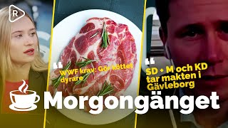 Morgongänget: Snökaoset fortsätter | SD med i styret i Gävleborg | Stora mängder öl till VM-vinnaren