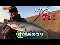 eng sub autumn winter amberjacks hiroseman’s shore jigging dojo r vol.11