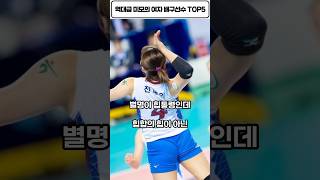 역대급 미모의 여자 배구선수 TOP5