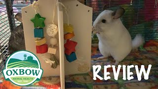 Oxbow Enriched Life Play Center Review with Kelsey, ChiChi, Chewy, and Chico