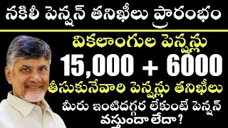 నకిలీ పెన్షన్ తనిఖీలు | Ntr Bharosa Pension Re Verification In Andra Pradesh | Ntr Bharosa Pension