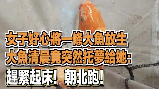 女子好心將一條大魚放生，大魚清晨竟突然托夢給她：趕緊起床！朝北跑！ ｜民間故事會