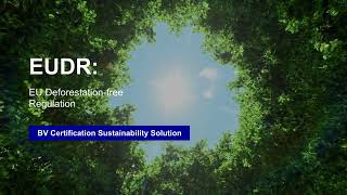 EUDR (EU Deforestation-free Regulation) | Bureau Veritas Certification