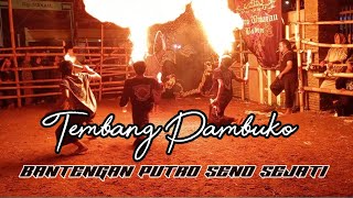 Pambuko | BANTENGAN PUTRO SENO SEJATI ( DJ ANDIKA )