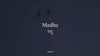 Madhu | Reel Asian 26