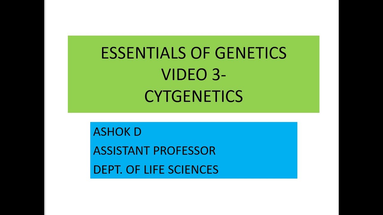 VIDEO 3 ESSENTIALS OF GENETICS - YouTube