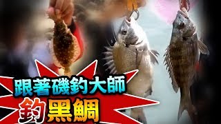 【★跟著磯釣大師釣黑鯛\u0026黑魚!!★軟蟲假餌也能釣中比目魚!】