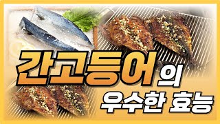 🔵겨울 간고등어의 숨겨진 건강 비밀! 맛있게 먹는 건강 폭발 레시피 대공개! 겨울철 필수 영양! 심혈관·면역력 강화! 염분 걱정 NO!