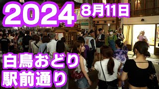 【岐阜県郡上市】白鳥おどり「駅前通り」2024年8月11日