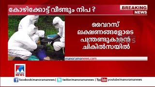 കോഴിക്കോട് വീണ്ടും നിപ   | Nipah Virus