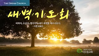 더드림교회 예배 실시간 방송-새벽기도회20241230