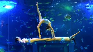 Aquarium Underwater Ballet Skills: Group Connections