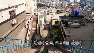 부산포 지도 19회 