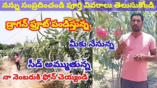 డ్రాగన్ ఫ్రూట్ పండిస్తూ సీడ్ కూడా అమ్ముతున్న, డ్రాగన్ ఫ్రూట్ సాగు గురించి సమాచారం కావాలంటే..నేనున్న!