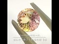 【gemnoir】ほんのり色づく妖精の頬5 合成バイカラーサファイア×満開の花のカットのルース shortvideo gemnoirの花の世界