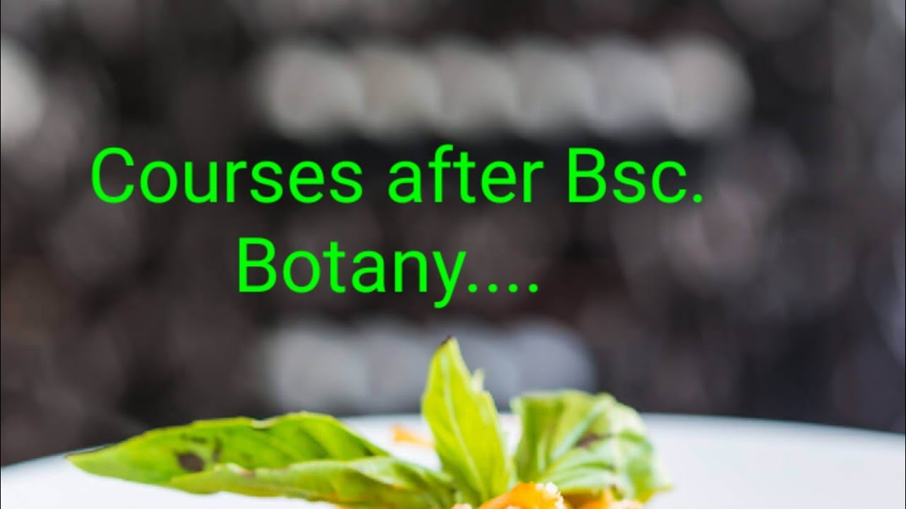 B.Sc Botany യ്ക്ക് ശേഷം ഏതു കോഴ്സ് തെരഞ്ഞെടുക്കാം... Details - YouTube