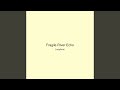 Fragile River Echo