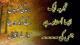 Best advice quotes in Urdu | quotes | aqwal E zareen | aqwal