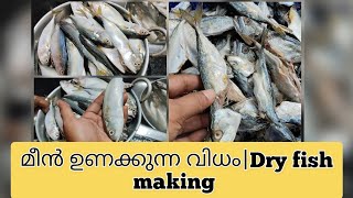 How to prepare dry fish at home| ഉണക്ക മീൻ എങ്ങനെ വീട്ടിൽ തന്നെ ഉണ്ടാക്കാം #subscribers  #dryfish