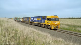 6MP4 TOLL / Pacific National Container Freight Train (10/9/2021) - PoathTV Australian Railways