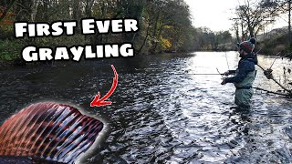 Grayling Fishing - A day in the River