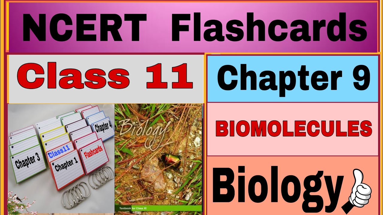 NCERT Flashcards…Chapter 9 / BIOMOLECULES / Class 11 / Biology/ By ...