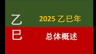 2025乙巳年--总体情况说明